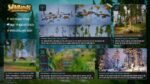 Wildlands: Stylized Nature (Pine Forest, Trees, Foliage, Nature, Forest, Biome)