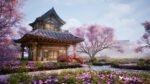 Asian Sanctuary